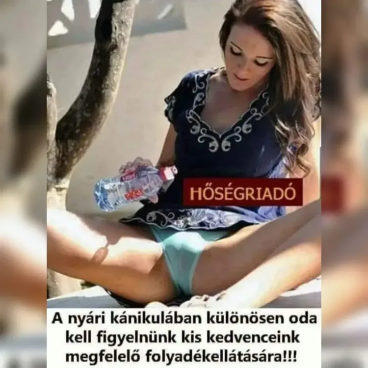 Hőségriadó!…