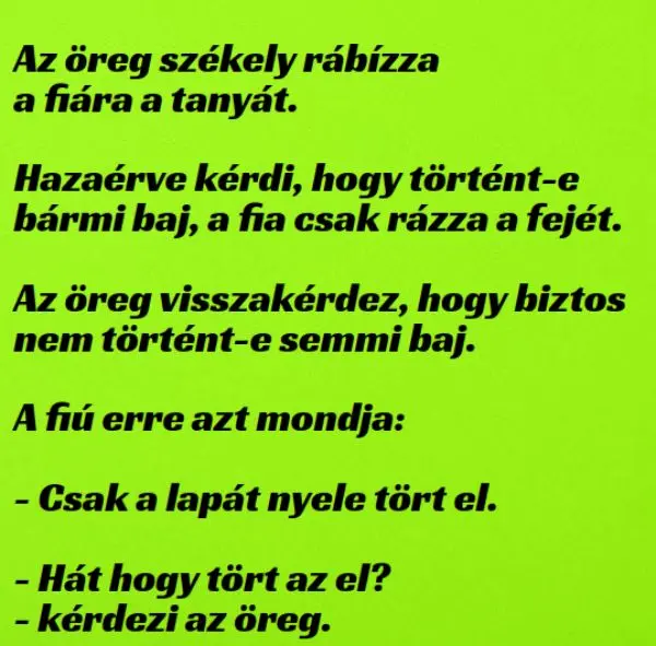 Vicc: Az öreg székely rábízza a fiára a tanyát –  … kattints a folytatásért