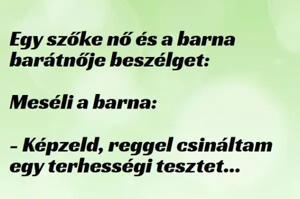 Vicc: Egy szőke nő és a barna barátnője beszélget –  … kattints a folytatásért