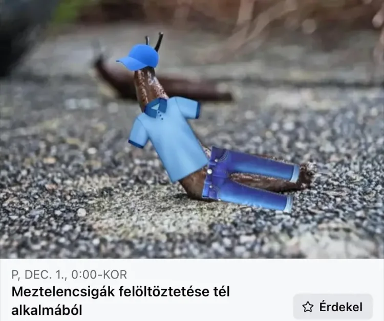 hasonló eseményekért!  
 
 



…