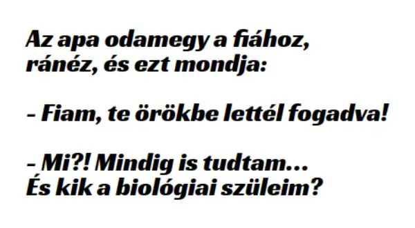 Vicc: Az apa odamegy a fiához megtenni egy vallomást –  … kattints a folytatásért