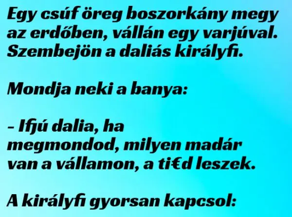 Vicc: Egy csúf öreg boszorkány megy az erdőben, vállán egy varjúval. Szembejön a daliás királyfi –  … kattints a folytatásért