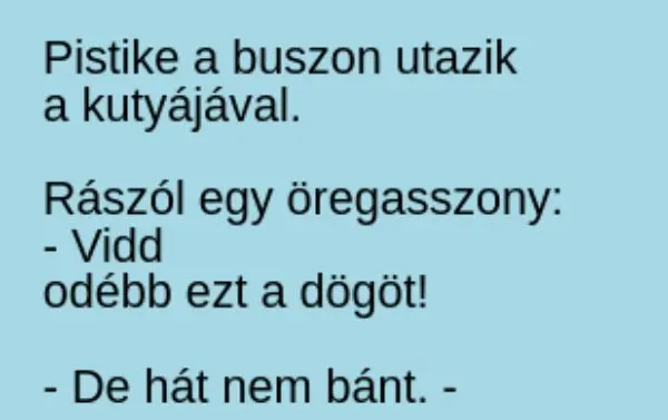 Vicc: Pistike a buszon utazik a kutyájával –  … kattints a folytatásért