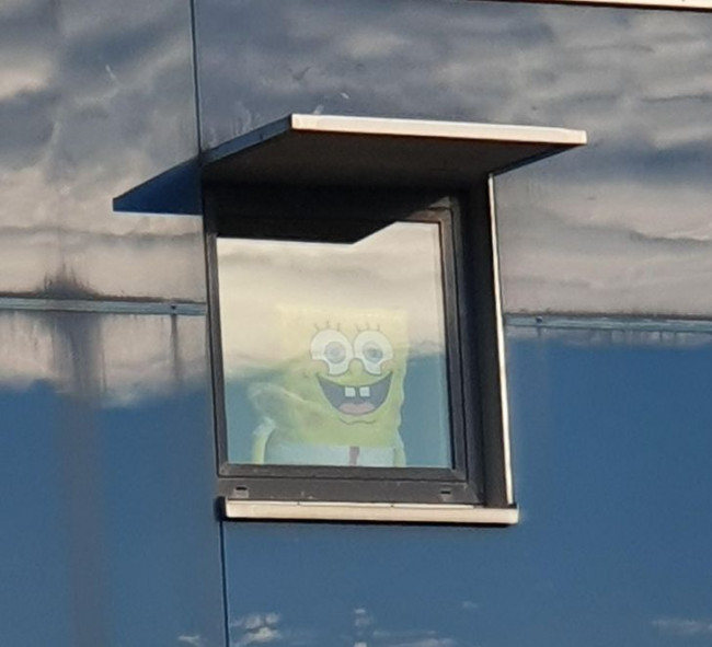 Spongebob párna az ablakban