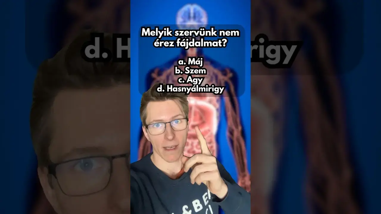 Emberi test kvíz #1 – Te tudod a választ? – videó