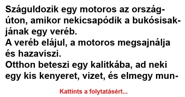 Száguldozik egy motoros az országúton…