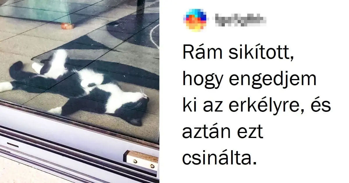 Dramát sugalló érzelmek: 18 telitalálat kép