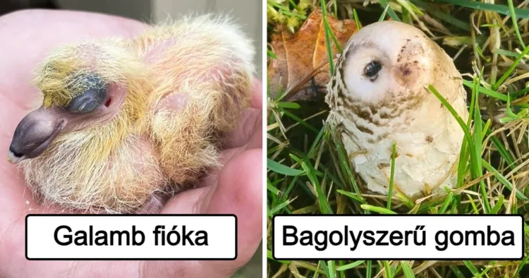 20 kép, amelyek mindegyike meglepő történetet mesél a világról