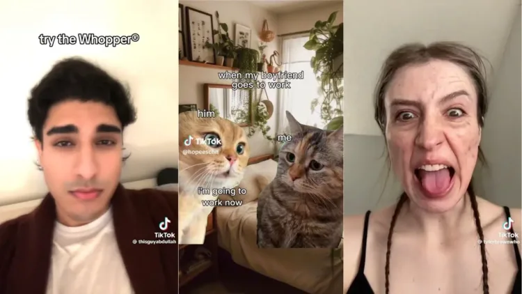 TikTok mémek, amelyek 69 módon csúnyának neveztek
 – videó