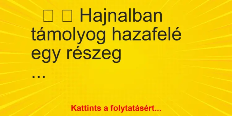 Vicc: Hajnalban támolyog hazafelé egy részeg – Az élet igazságai…