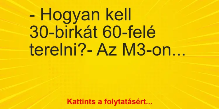 Vicc: – Hogyan kell 30-birkát 60-felé terelni?- Az M3-on…
…