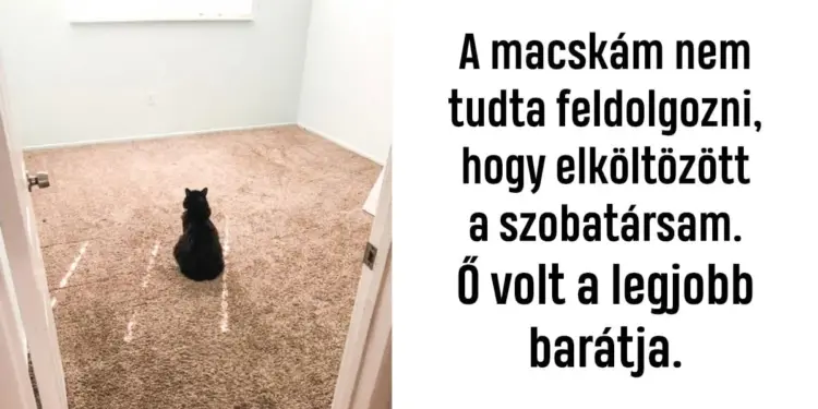 19 kép, amely megmutatja a hűséges és határtalan állati szeretetet