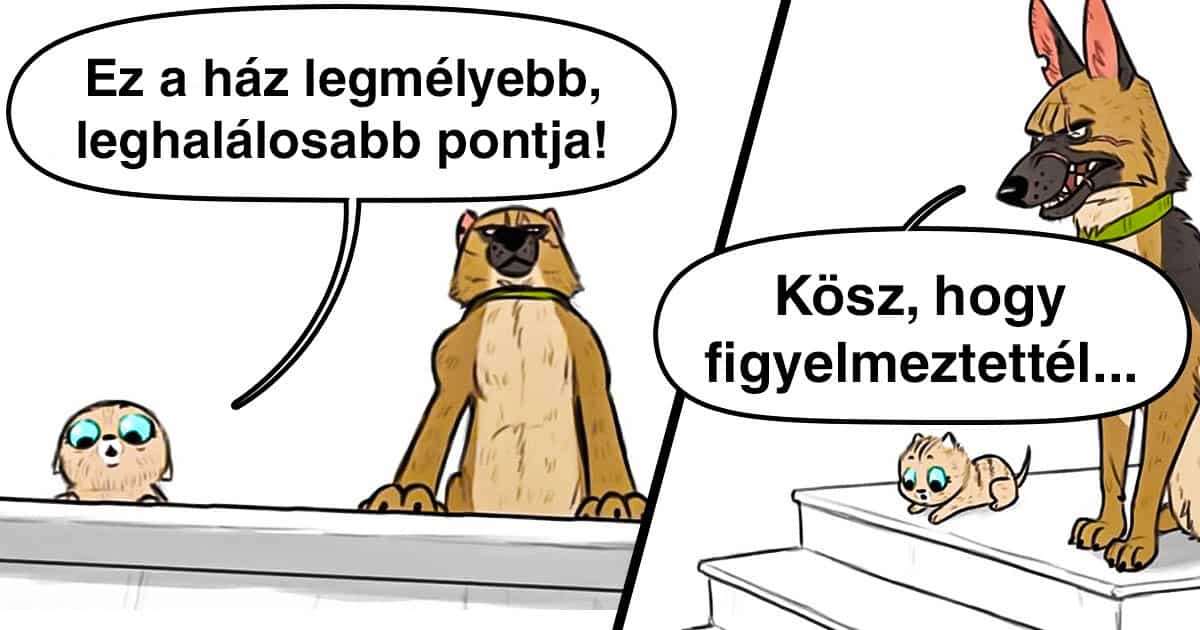 Egy bájos cicakölyök és egy leszerelt német juhászkutya humores sztorija