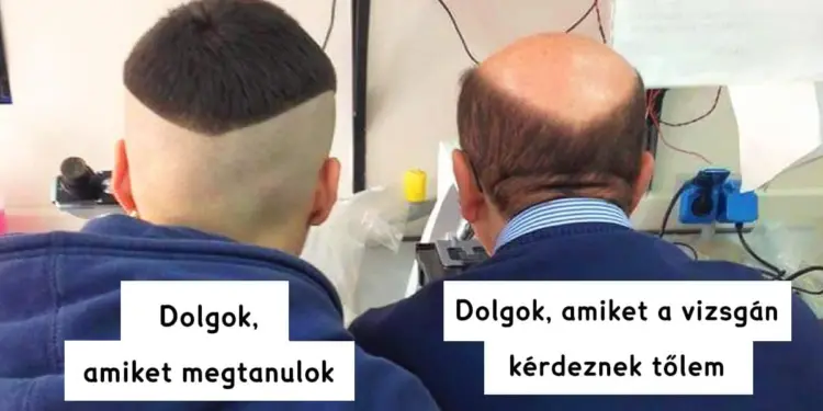 19 humoros kép a diák élet nehézségeiről, amelyek igazán találóak