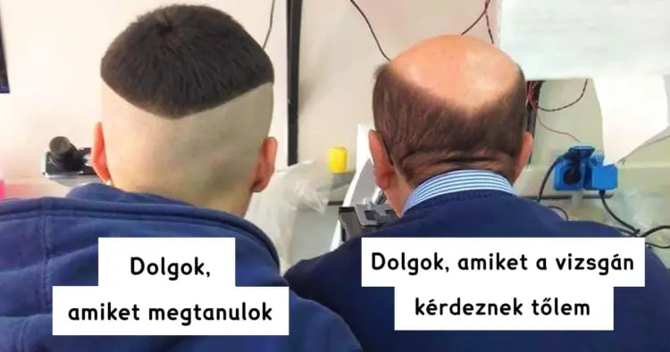 19 humoros kép a diák élet nehézségeiről, amelyek igazán találóak