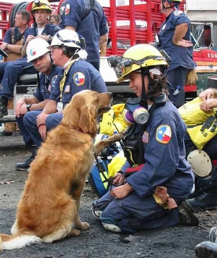 Bretagne, a 9/11 mentőkutya