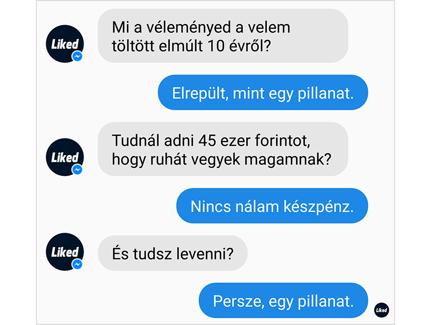 1. kép