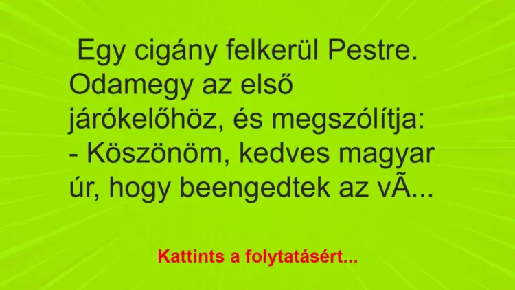 Vicc:
Magyar helyzet
…