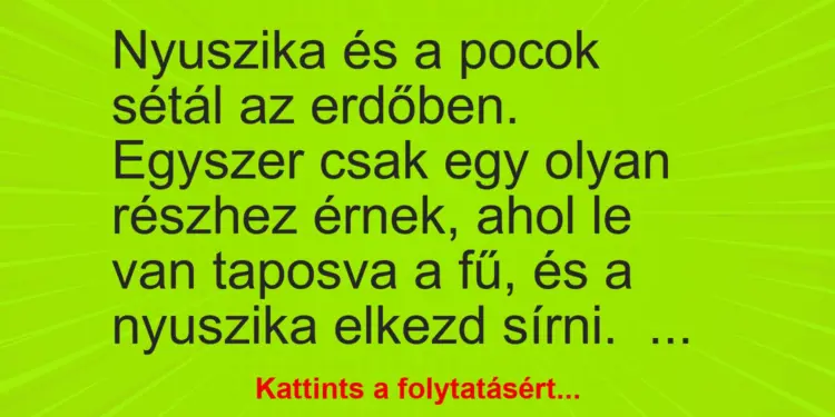 Vicc: Nyuszika és a pocok sétál az erdőben. Egyszer csak egy olyan részhez érnek, ahol…