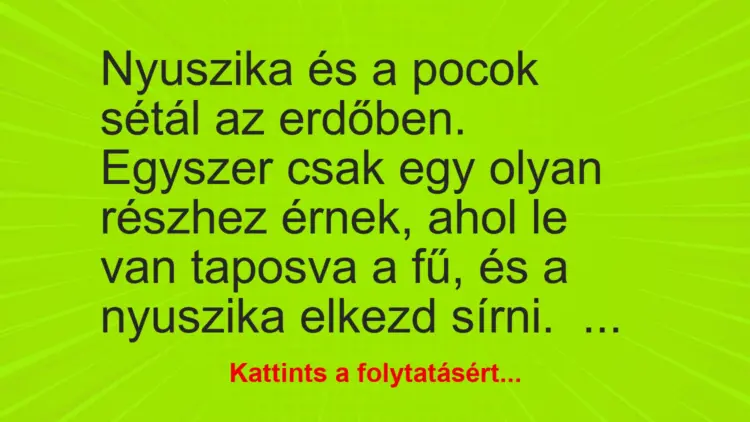 Vicc: Nyuszika és a pocok sétál az erdőben. Egyszer csak egy olyan részhez érnek, ahol…