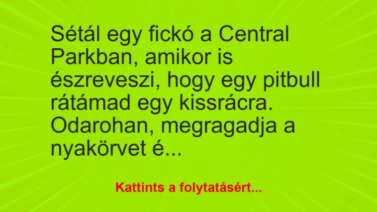 Vicc: Sétál egy fickó a Central Parkban, amikor is észreveszi, hogy egy pitbull…