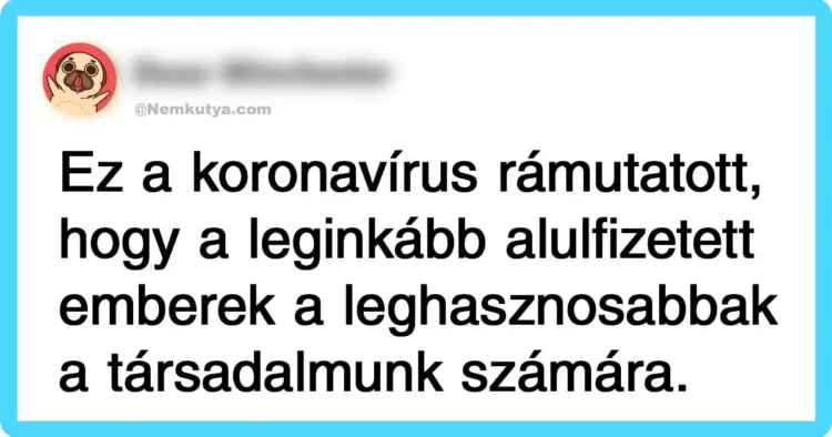 A legizgalmasabb karantén-megjegyzések a közösségi médiából