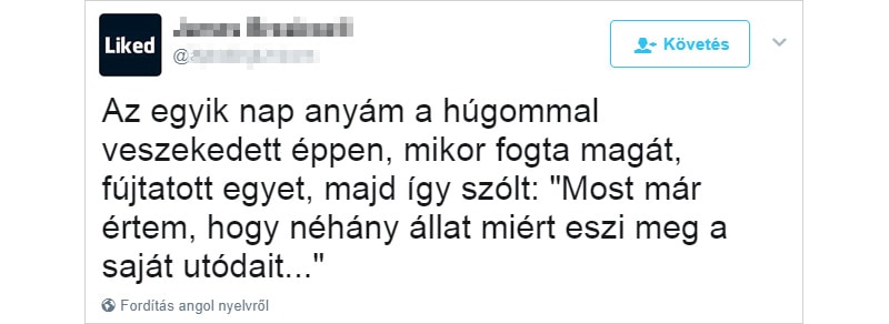 Anyai logika