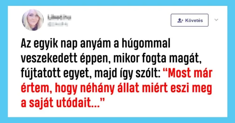 A szigorú humor: amikor az édesanyák adnak le a poénbombákat