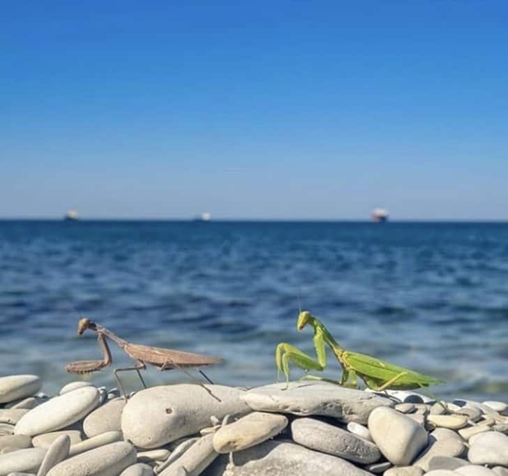 Naptól árnyékban, a tengerparti fantom