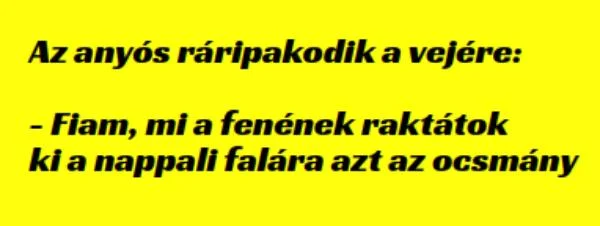 Az anyós ráripakodik a vejére: – …