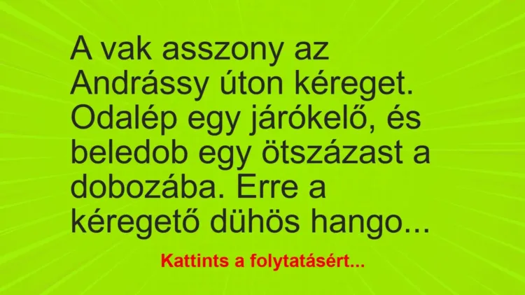 A vak asszony az Andrássy úton kéreget. Odalép egy járókelő – …