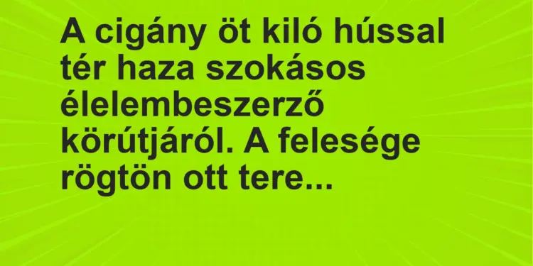 Vicc: A cigány öt kiló hússal tér haza szokásos élelembeszerző körútjáról. A felesége…