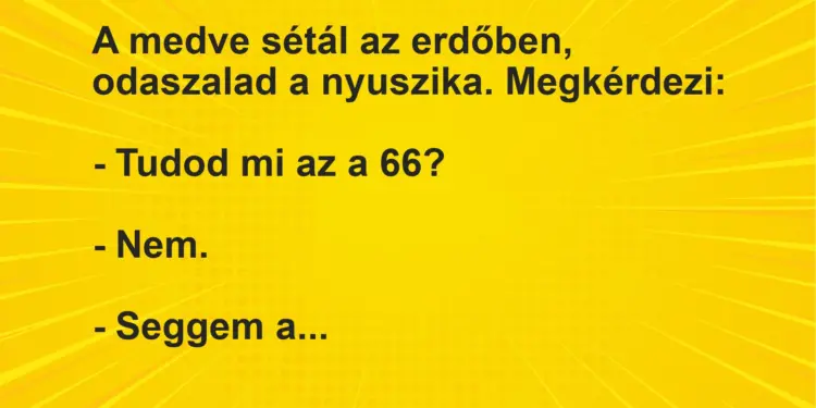 Vicc: A medve sétál az erdőben, odaszalad a nyuszika. Megkérdezi:– Tudod mi az a…