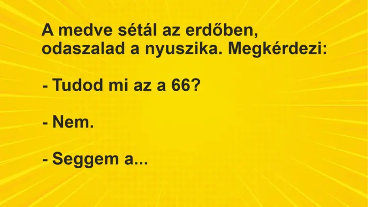 Vicc: A medve sétál az erdőben, odaszalad a nyuszika. Megkérdezi:– Tudod mi az a…