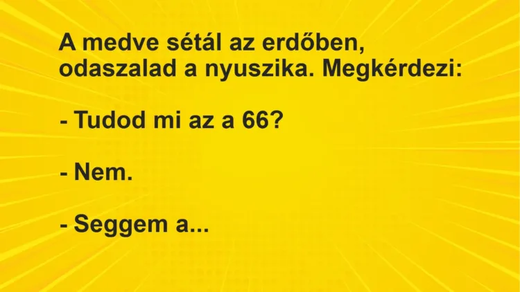 Vicc: A medve sétál az erdőben, odaszalad a nyuszika. Megkérdezi:

– Tudod mi az a…