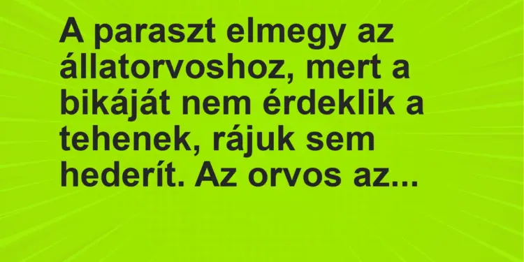 Vicc: A paraszt elmegy az állatorvoshoz, mert a bikáját nem érdeklik a tehenek, rájuk…