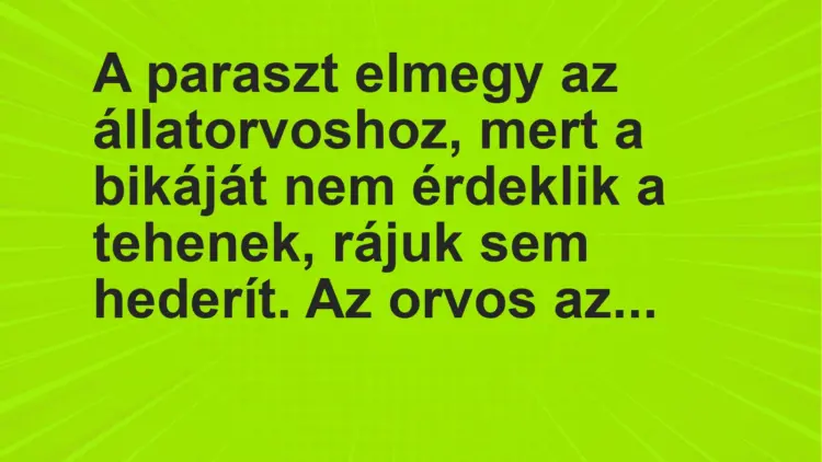 Vicc: A paraszt elmegy az állatorvoshoz, mert a bikáját nem érdeklik a tehenek, rájuk…