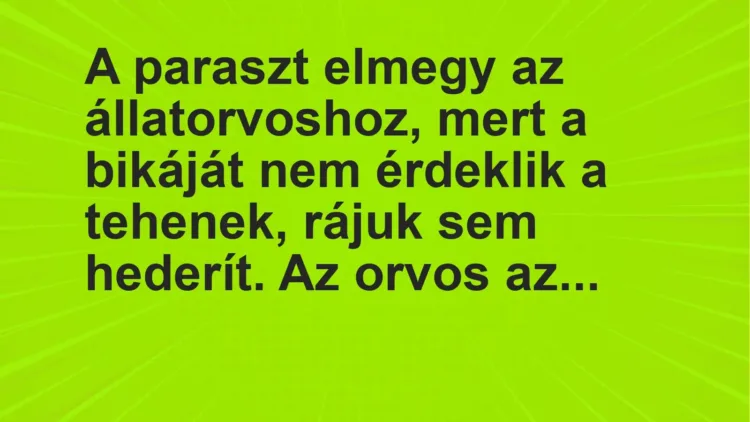 Vicc: A paraszt elmegy az állatorvoshoz, mert a bikáját nem érdeklik a tehenek, rájuk…