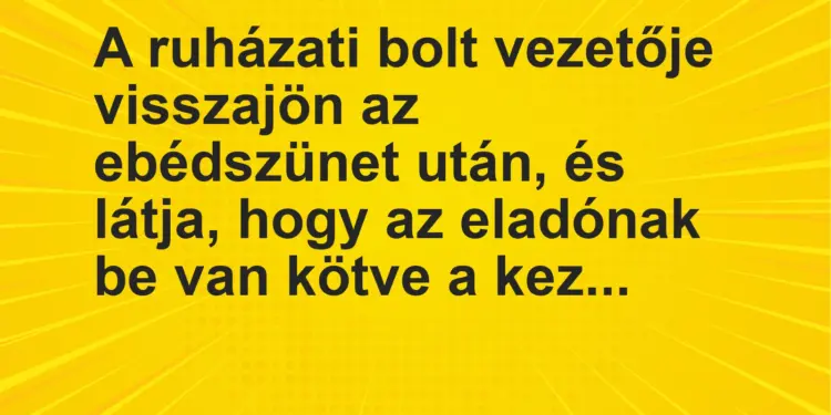 Vicc: A ruházati bolt vezetője visszajön az ebédszünet után, és látja, hogy az…