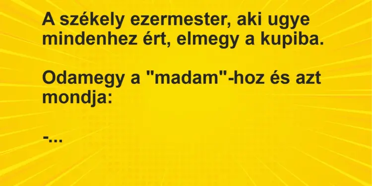 Vicc: A székely ezermester, aki ugye mindenhez ért, elmegy a kupiba.Odamegy a…