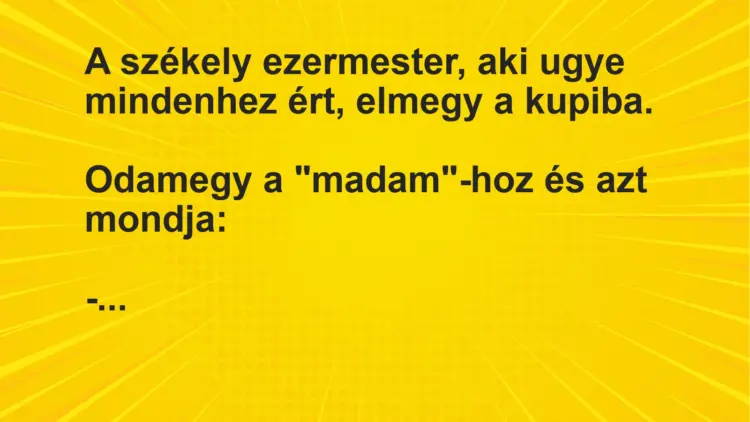 Vicc: A székely ezermester, aki ugye mindenhez ért, elmegy a kupiba.Odamegy a…