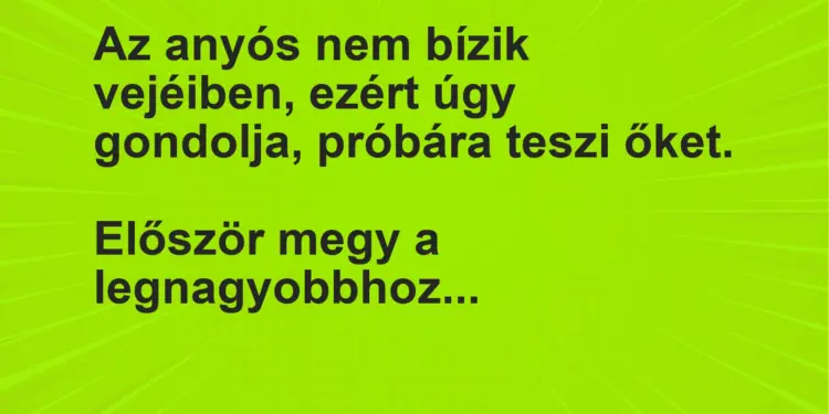 Vicc: Az anyós nem bízik vejéiben, ezért úgy gondolja, próbára teszi…