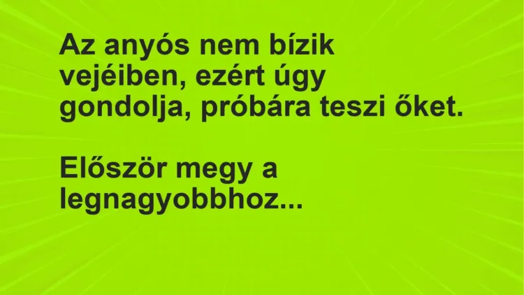 Vicc: Az anyós nem bízik vejéiben, ezért úgy gondolja, próbára teszi…