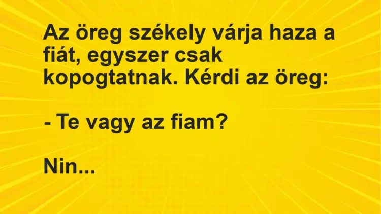 Vicc: Az öreg székely várja haza a fiát, egyszer csak kopogtatnak. Kérdi az…