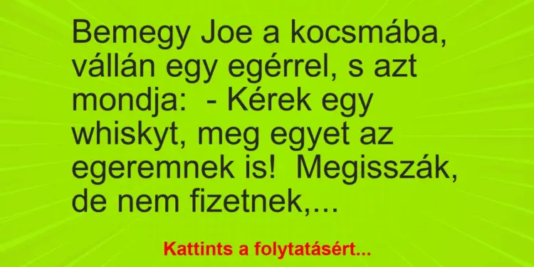 Vicc: Bemegy Joe a kocsmába, vállán egy egérrel, s azt mondja:– Kérek egy…