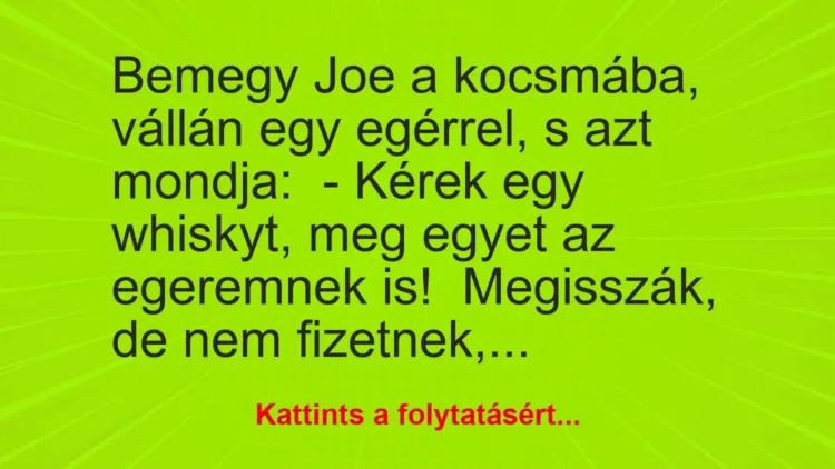 Vicc: Bemegy Joe a kocsmába, vállán egy egérrel, s azt mondja:

– Kérek egy…