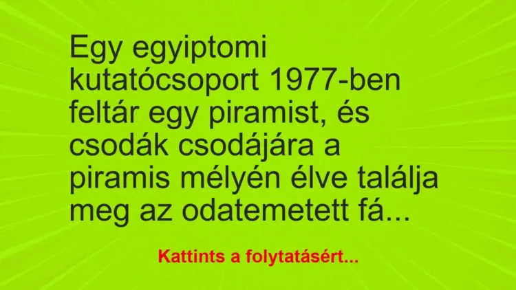 Vicc: Egy egyiptomi kutatócsoport 1977-ben feltár egy piramist, és csodák csodájára a…