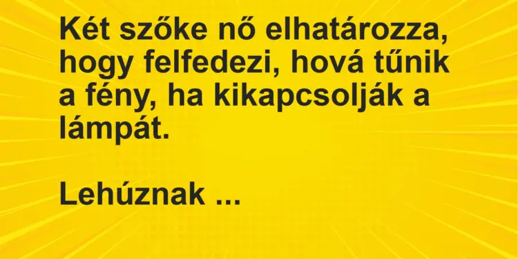 Vicc: Két szőke nő elhatározza, hogy felfedezi, hová tűnik a fény, ha kikapcsolják a…