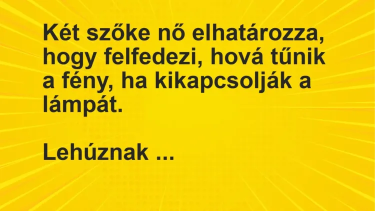 Vicc: Két szőke nő elhatározza, hogy felfedezi, hová tűnik a fény, ha kikapcsolják a…