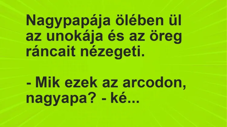 Vicc: Nagypapája ölében ül az unokája és az öreg ráncait nézegeti.

– Mik ezek az…